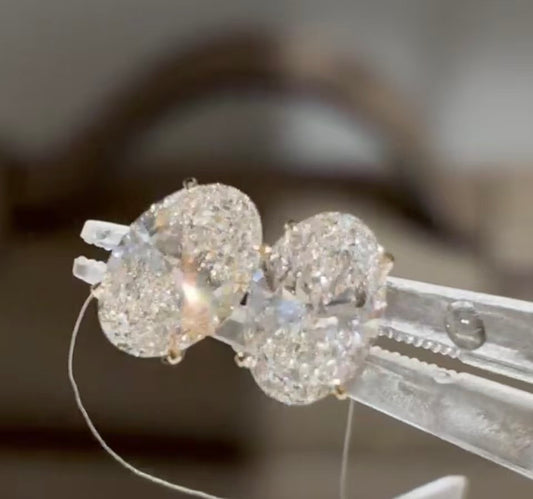 A link for Alicia Hijirida to pay earrings