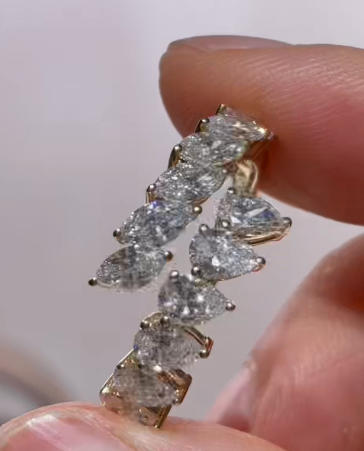 A link for Charlotte to pay pay a ring and earrings