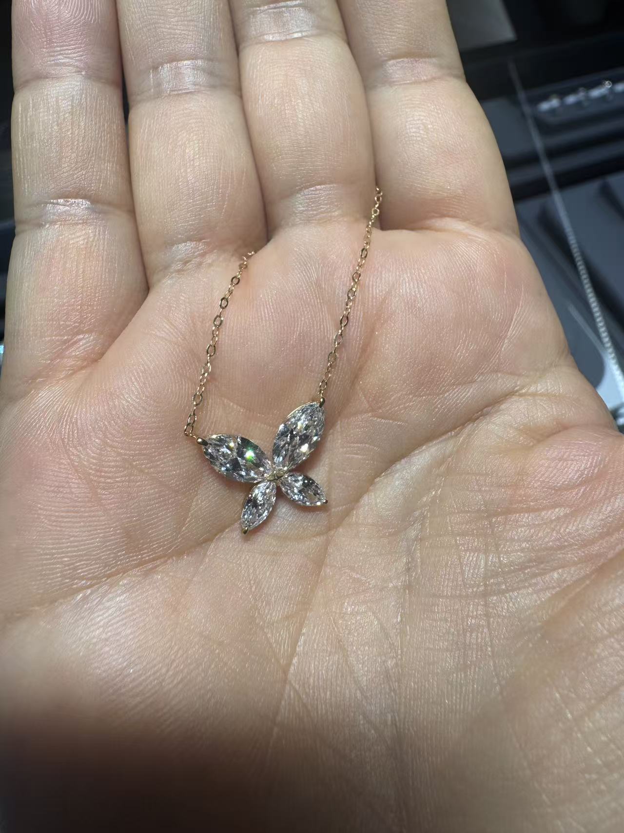 a link for chau to pay necklace