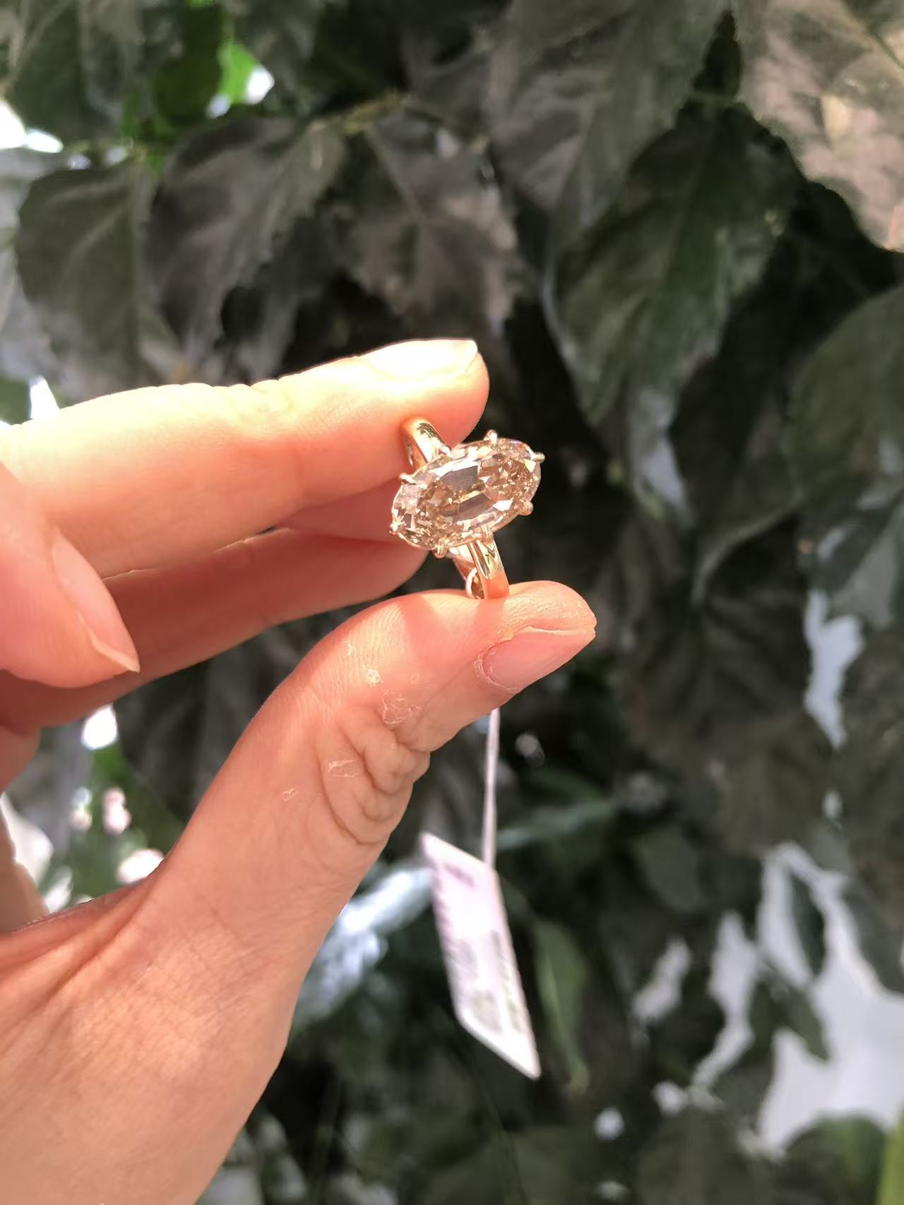 A link for Michelle Wright to pay ring 6#