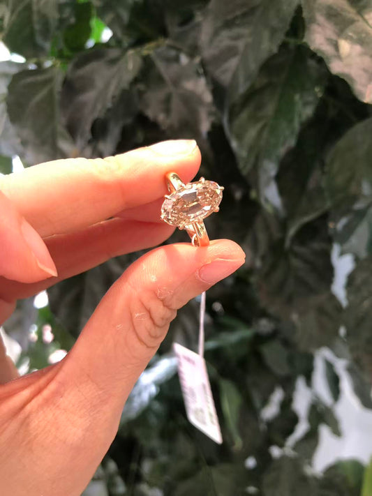 A link for Michelle Wright to pay ring 6#