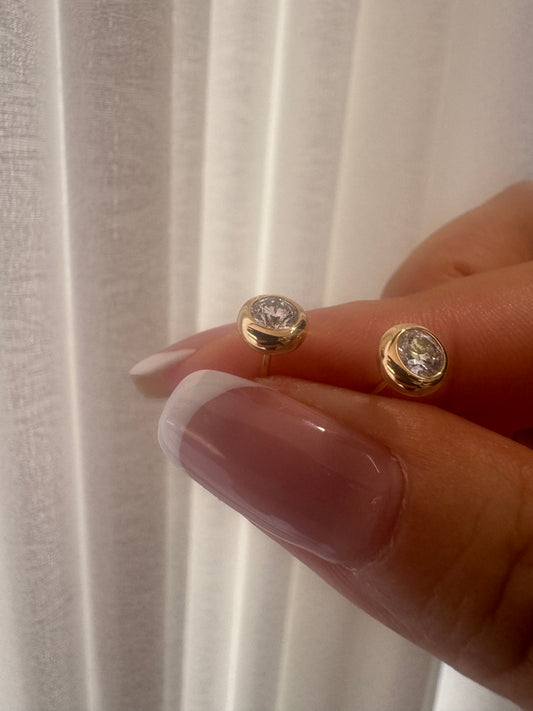 A link for Neela to pay earrings