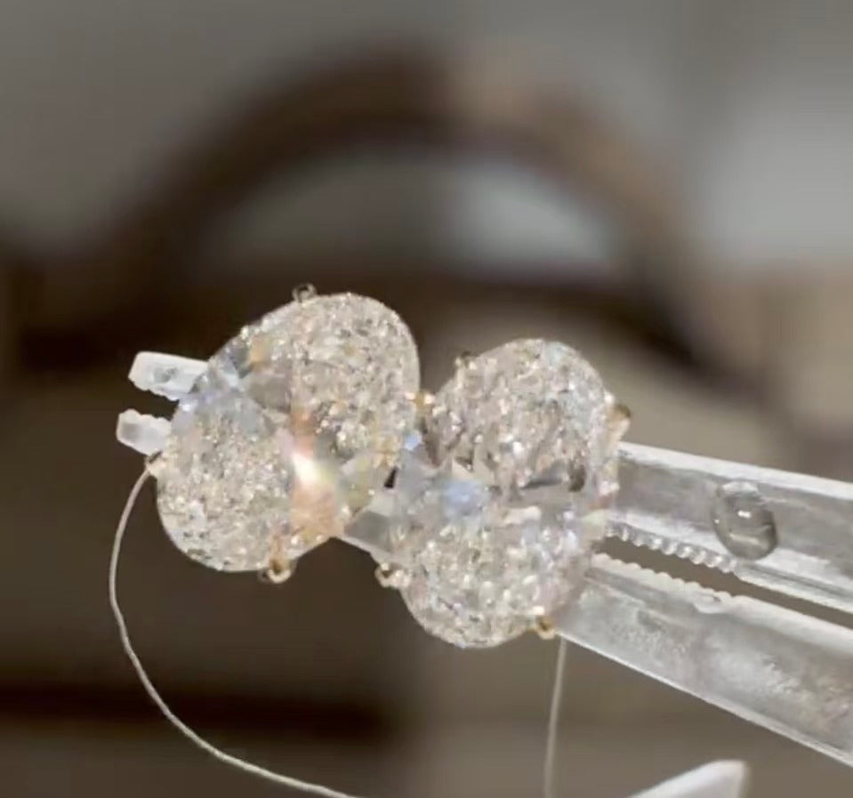 A link for Alicia Hijirida to pay earrings