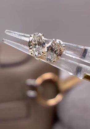 A link for Charlotte to pay pay a ring and earrings