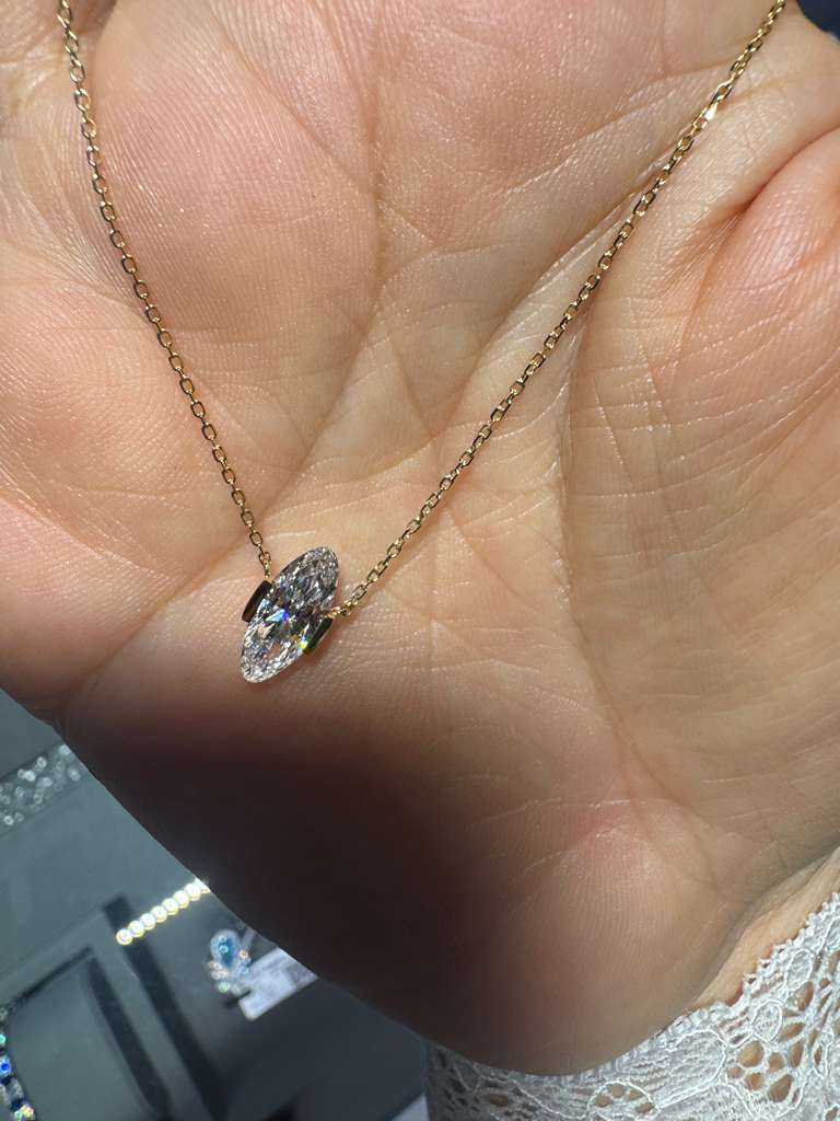 A link for Neela to pay necklace