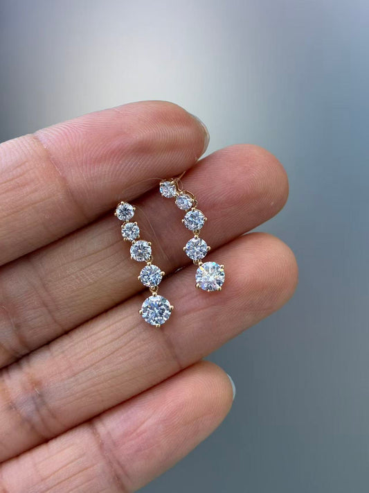 A link for Neela to pay earrings